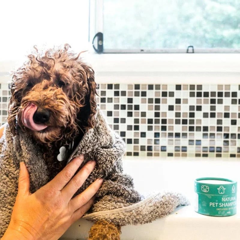 Natural Pet Hemp Shampoo Bar