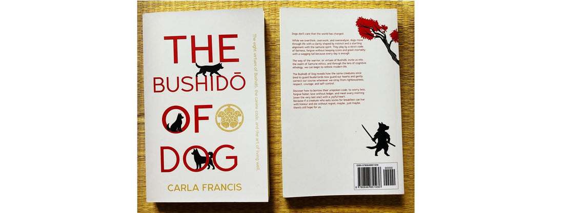 From a Simple Conversation to The Bushido of Dog